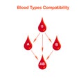 Blood types compatibility banner. Red blood drop 0, A, B, AB, arrows on white. Flat design Royalty Free Stock Photo